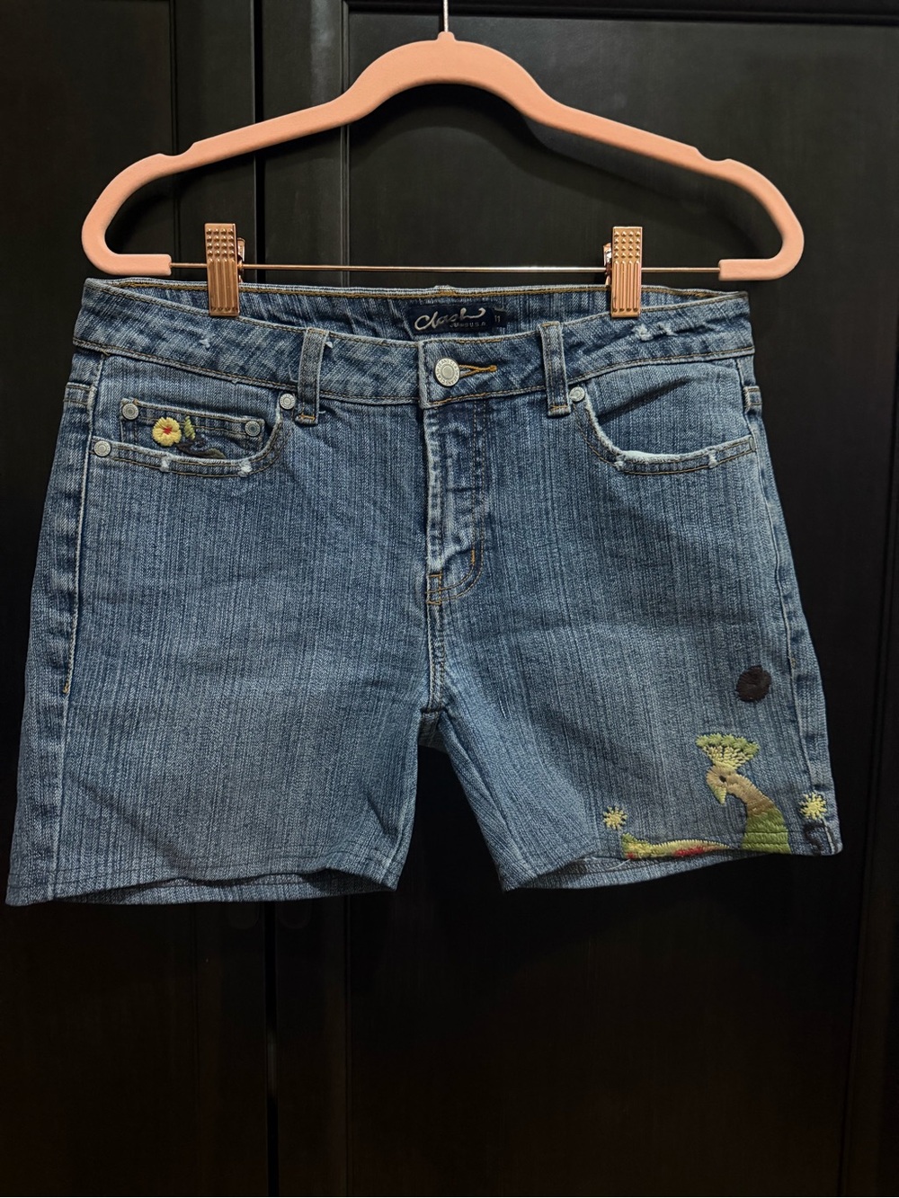 Embroidered Blue Denim Women's Jean Shorts
